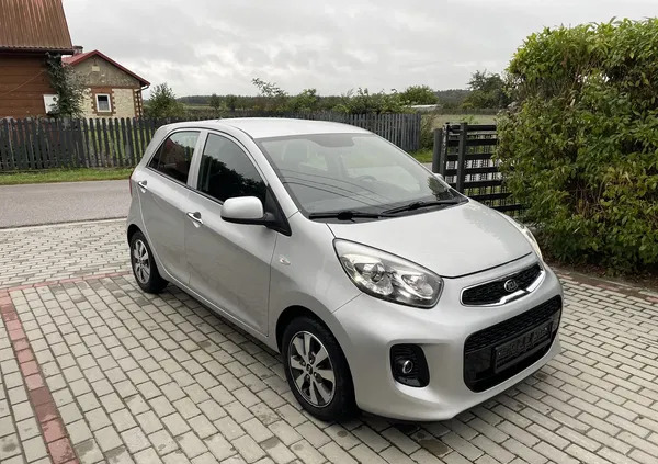 kia świętokrzyskie Kia Picanto cena 29300 przebieg: 49600, rok produkcji 2015 z Starachowice